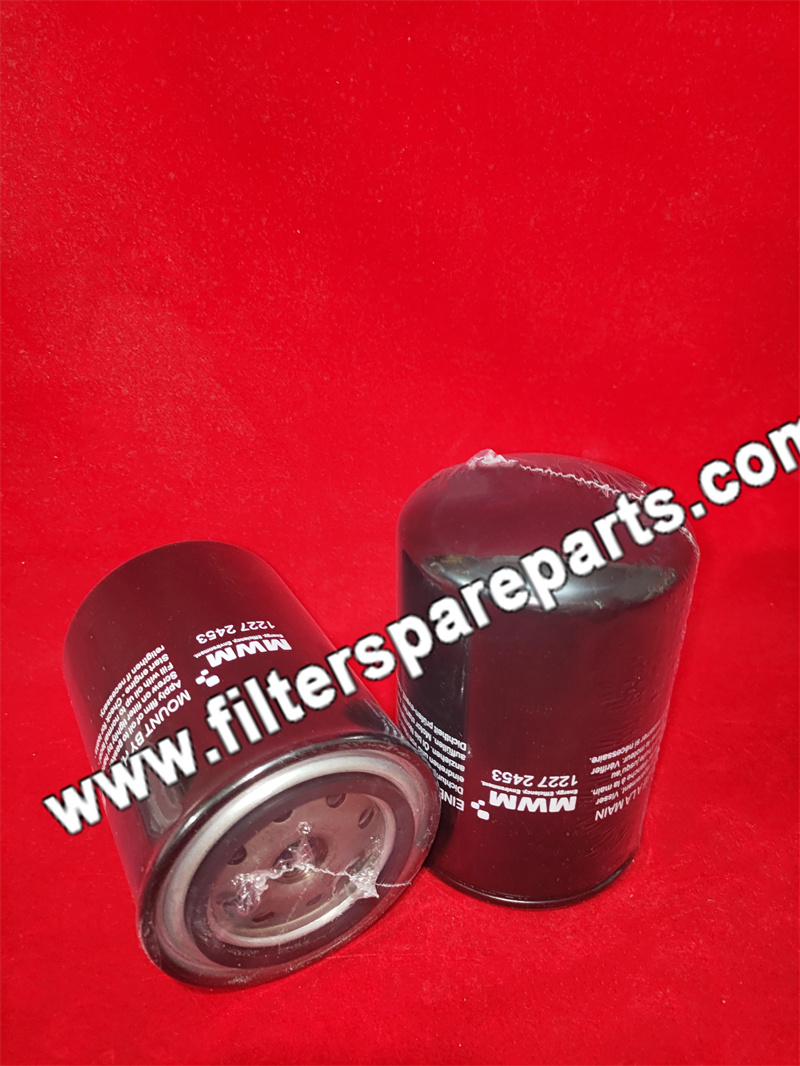 12272453 MWM Lube Filter