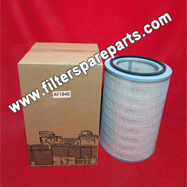 AF1848 Air Filter