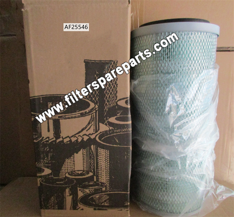 AF25546 Air Filter