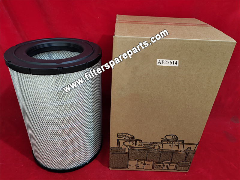 AF25614 Air Filter - Click Image to Close