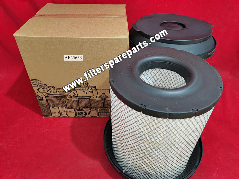 AF25653 Air Filter - Click Image to Close