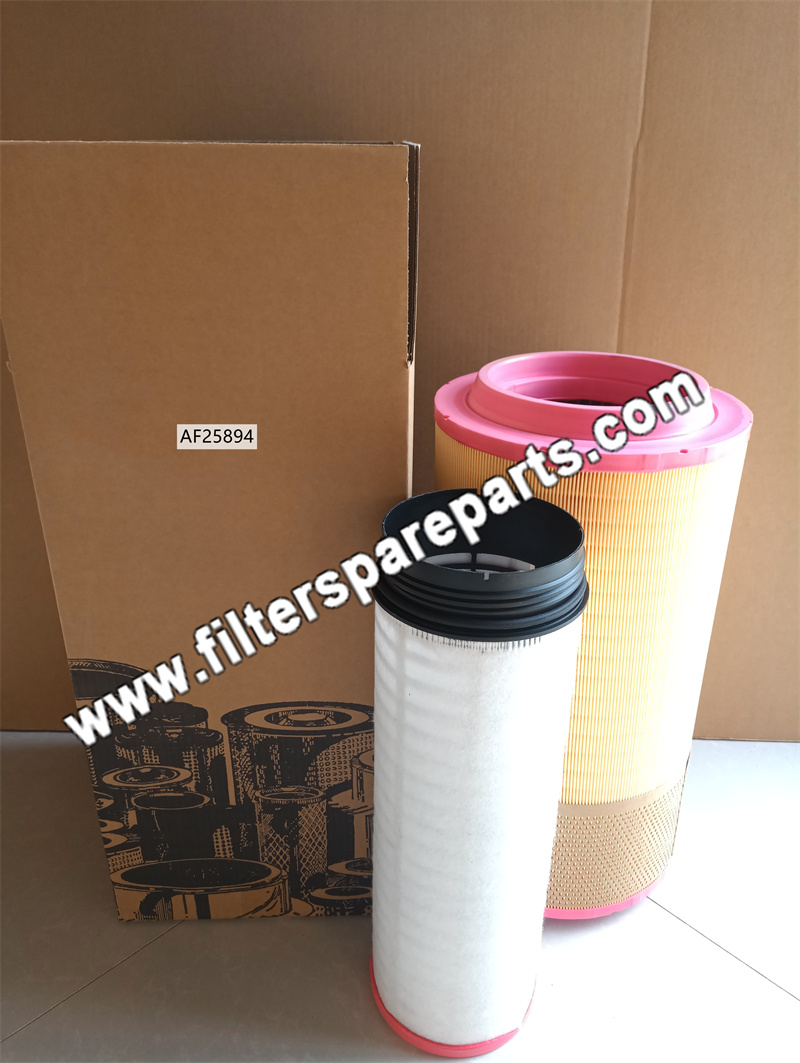 AF25894 Air Filter