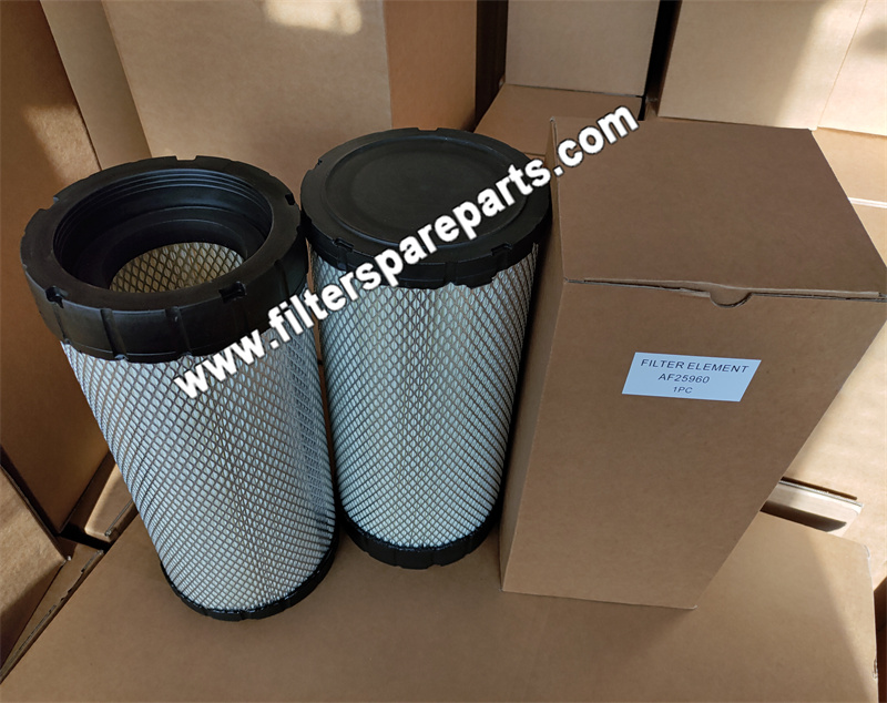 AF25960 Air Filter - Click Image to Close