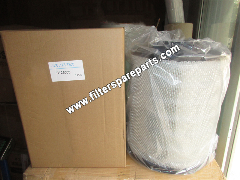 B125003 DONALDSON Air Filter