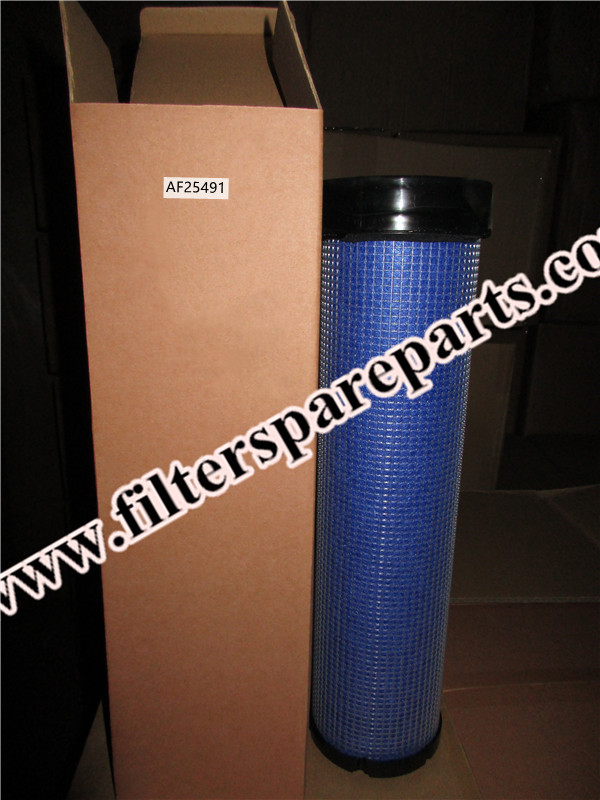 AF25491 air filter - Click Image to Close