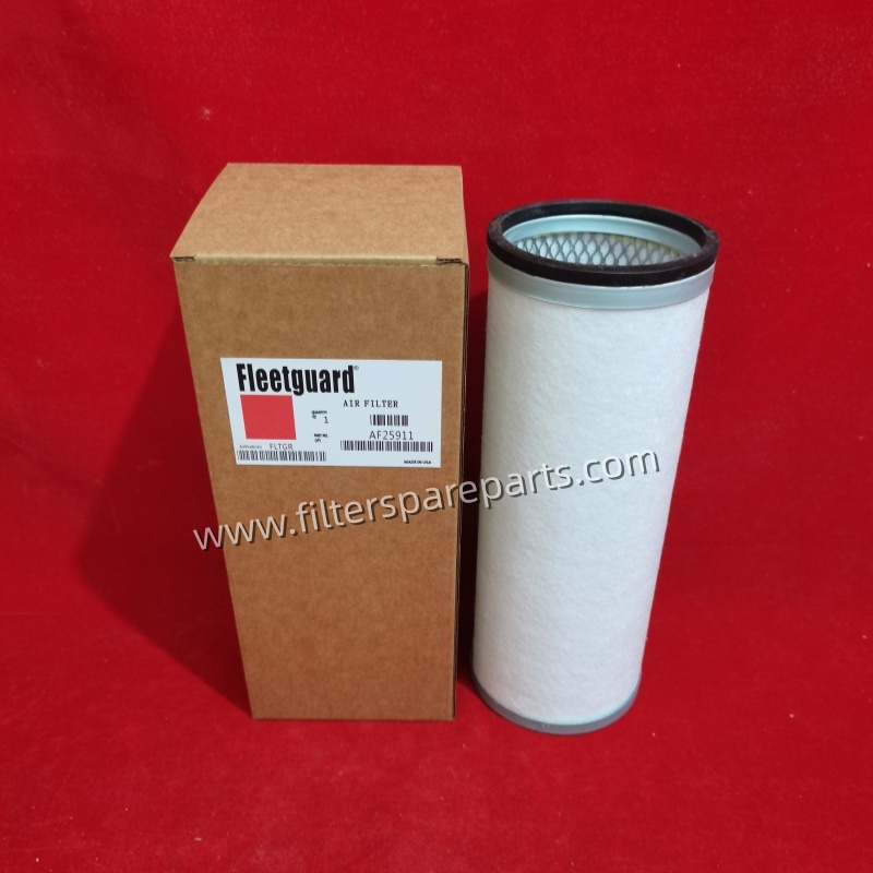 AF25911 Air Filter