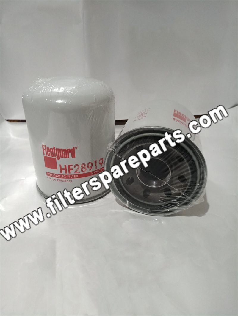 HF28919 FLEETGUARD Hydraulic Filter - Click Image to Close