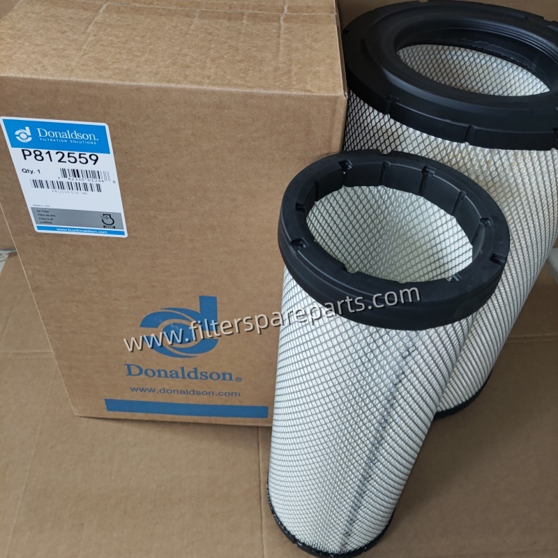 P812559 Donaldson Primary Air Filter